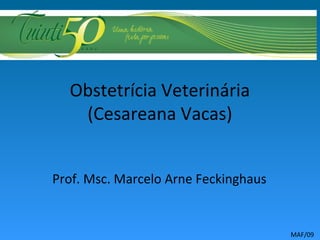Obstetrícia Veterinária
(Cesareana Vacas)
Prof. Msc. Marcelo Arne Feckinghaus
MAF/09
 