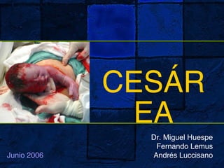 CESÁR
EA
Dr. Miguel Huespe
Fernando Lemus
Andrés LuccisanoJunio 2006
 
