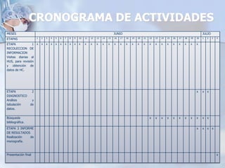 CRONOGRAMA DE ACTIVIDADES