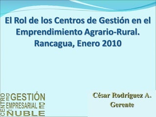 César Rodríguez A. Gerente 