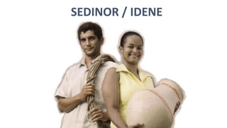 SEDINOR / IDENE
 