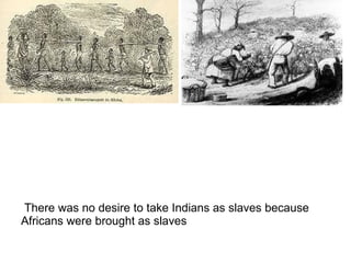 There was no desire to take Indians as slaves because
Africans were brought as slaves