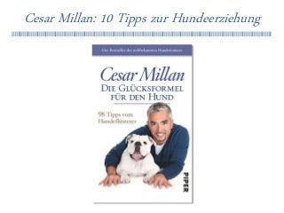 Cesar Millan: 10 Tipps zur Hundeerziehung
llllllllllllllllllllllllllllllllllllllllllllllllllllllllllllllllllllllllllllllllllllllllllllllllllllllllllllllllllllllllllllllllllllllllllllllllllllllllllllllll
 