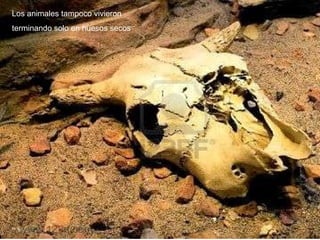 Los animales tampoco vivieron terminando solo en huesos secos
