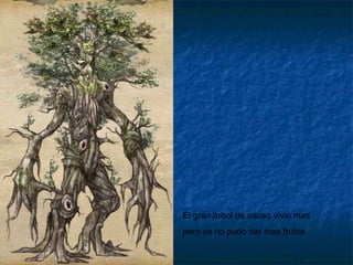 El gran árbol de cacao vivió mas pero ya no pudo dar mas frutos