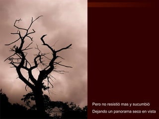 Pero no resistió mas y sucumbió Dejando un panorama seco en vista 