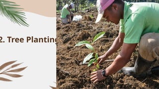 2. Tree Planting
 