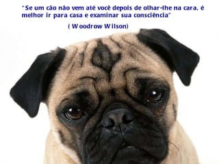 “ Se um cão não vem até você depois de olhar-lhe na cara, é melhor ir para casa e examinar sua consciência” ( Woodrow Wilson) 