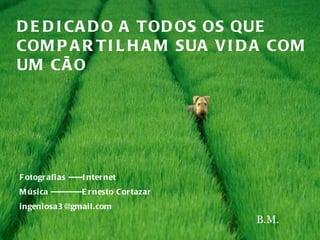 DEDICADO A TODOS OS QUE COMPARTILHAM SUA VIDA COM UM CÃO Fotografias -----Internet Música -----------Ernesto Cortazar  [email_address] B.M. 