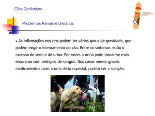  Multíplas refeições diárias com intervalos regulares;