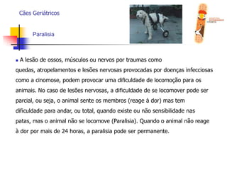  Alimentos agradáveis e com odor mais forte;