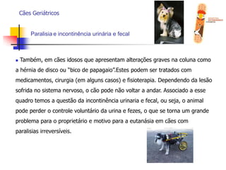  Dieta com baixa proteína, pouca gordura e de boa qualidade;