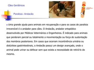  Cuidados dentários rotineiros;