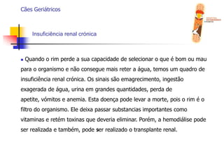  Exercício diário moderado;