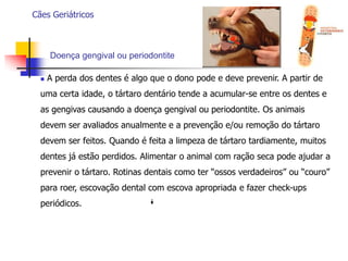  Permite detectar transtornos geriátricos precocemente, antes que se tornem uma ameaça a vida;