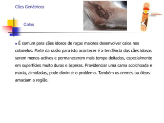  Permite estabelecer um padrão para o animal, visto que conhecendo os valores normais deste é possível interpretar melhor os futuros resultados, caso o paciente desenvolva uma vida;