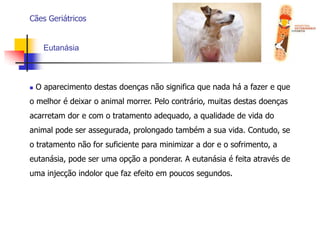  A identificação de doenças é uma importante prioridade antes de se anestesias um paciente mais velho para uma cirurgia ou procedimento odontológico;