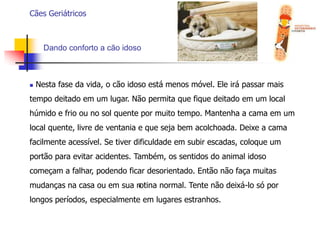 Garantir o uso de medicamentos, ajudando a determinar se um animal deve receber uma dose reduzida de um medicamento ou até mesmo evitá-lo, pois podem ser perigosos para a sua condição ou estado de saúde.Cães GeriátricosQuando é recomendado ao cão idoso a realização de exames geriátricos?Ganho ou perda de peso;