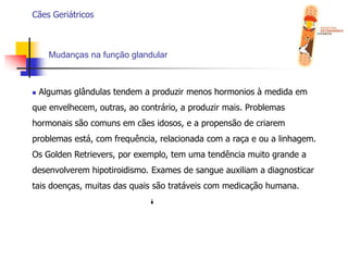  Fraqueza, letargia e intolerância ao exercício;