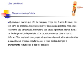  Problemas de pelagem;