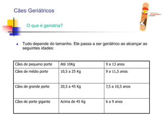 Cães GeriátricosO que é geriatria?Tudo depende do tamanho. Ele passa a ser geriátrico ao alcançar as seguintes idades: