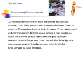  Mudança de comportamento;