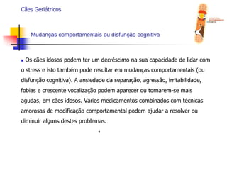  Realizar exames laboratoriais do animal idoso semestralmente, assim estará a contribuir para melhorar a saúde, a longevidade e a qualidade de vida do animal;