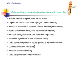  Cuidar é um acto de amor.Cães GeriátricosCuidar é um acto de amor.Obrigada pela atenção