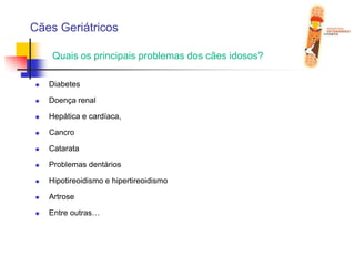 Cães GeriátricosQuais os principais problemas dos cães idosos?DiabetesDoença renalHepática e cardíaca,CancroCatarataProblemas dentáriosHipotireoidismo e hipertireoidismoArtroseEntre outras…