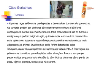  Impedir ou tornar mais lenta a progressão de doenças;