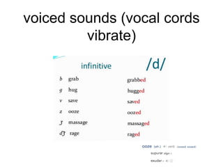 voiced sounds (vocal cords
vibrate)
 