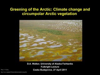 Greening of the Arctic: Climate change and circumpolar Arctic vegetation  D.A. Walker, University of Alaska Fairbanks Fulbright Lecture Ceske Budejovice, 27 April 2011 Photo:  P. Kuhry,  http://www.ulapland.fi/home/arktinen/tundra/tu-taig.htm: 