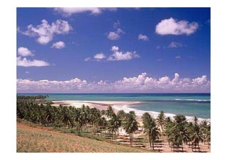 Racionalização de mão de obra