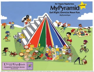 UVICES_myPyramid4vegans_DMC2009