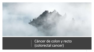 Cáncer de colon y recto
(colorectal cancer)
 