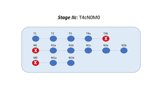 T1 T2 T3 T4a T4b
N0 N1a N1b N1c N2a N2b
M0 M1a M1b
Stage IIc: T4cN0M0
 