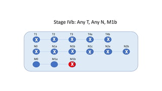 T1 T2 T3 T4a T4b
N0 N1a N1b N1c N2a N2b
M0 M1a M1b
Stage IVb: Any T, Any N, M1b
 