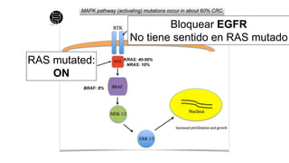 MAPK pathway (activating) mutations occur in about 60% CRC
KRAS: 40-50%
NRAS: 10%
BRAF: 8%
RAS mutated:
ON
Bloquear EGFR
No tiene sentido en RAS mutado
 