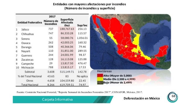 Mexico En El Top 5 De Paises Con Mayor Deforestacion Images Mexico En El Top 5 De Paises Con Mayor Deforestacion Images