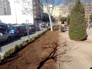 Darreres actuacions al parc Tirant Lo Blanch