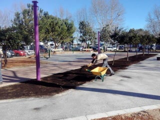 Darreres actuacions al parc Tirant Lo Blanch