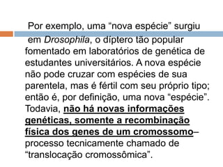 Por exemplo, uma “nova espécie” surgiu
 em Drosophila, o díptero tão popular
fomentado em laboratórios de genética de
estudantes universitários. A nova espécie
não pode cruzar com espécies de sua
parentela, mas é fértil com seu próprio tipo;
então é, por definição, uma nova “espécie”.
Todavia, não há novas informações
genéticas, somente a recombinação
física dos genes de um cromossomo–
processo tecnicamente chamado de
“translocação cromossômica”.
 