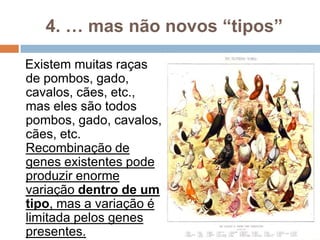 4. … mas não novos “tipos”

Existem muitas raças
de pombos, gado,
cavalos, cães, etc.,
mas eles são todos
pombos, gado, cavalos,
cães, etc.
Recombinação de
genes existentes pode
produzir enorme
variação dentro de um
tipo, mas a variação é
limitada pelos genes
presentes.
 