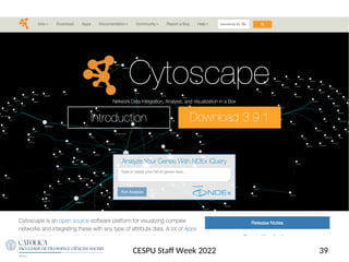 39
CESPU Staf Week 2022
 