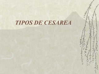 TIPOS DE CESAREA 