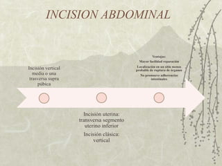 INCISION ABDOMINAL 