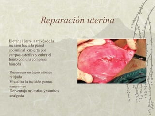 Reparación uterina Elevar el útero  a través de la incisión hacia la pared abdominal  cubierta por campos estériles y cubrir el fondo con una compresa húmeda Reconocer un útero atónico relajado  Visualiza la incisión puntos sangrantes  Desventaja molestias y vómitos  analgesia  
