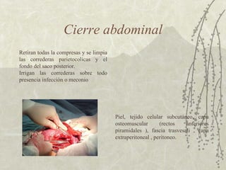Cierre abdominal Retiran todas la compresas y se limpia las correderas parietocolicas y el fondo del saco posterior. Irrigan las correderas sobre todo presencia infección o meconio  Piel, tejido celular subcutáneo, capa osteomuscular (rectos anteriores piramidales ), fascia trasvesali , capa extraperitoneal , peritoneo. 