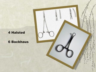 4 Halsted 6 Backhaus 