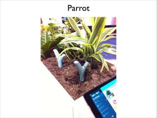 Parrot

 